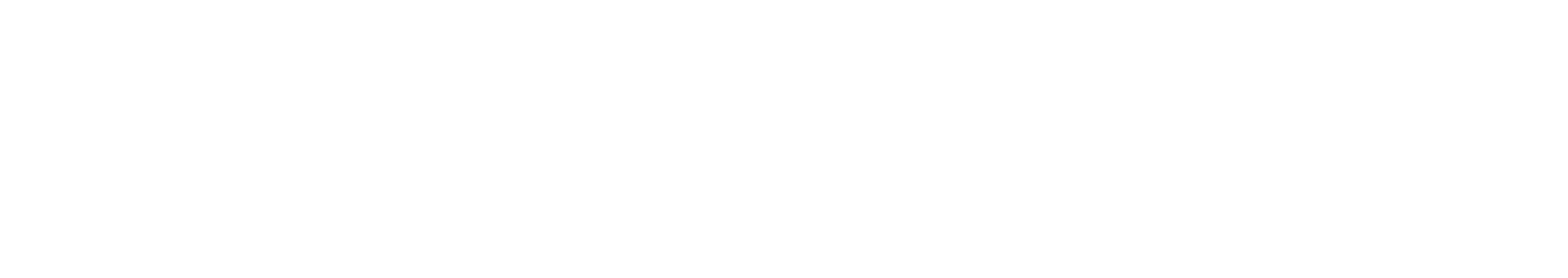 EPHNY Logo